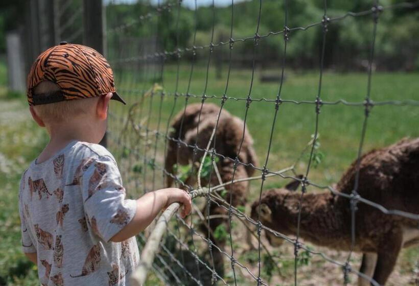 östermalma Vandrarhem