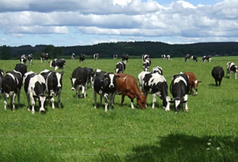 Wapnö Gårdshotell