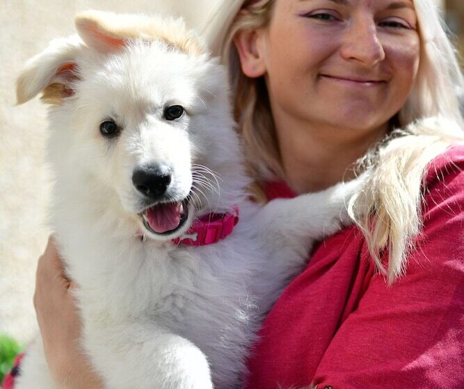 민박 Tree Tops Guest House