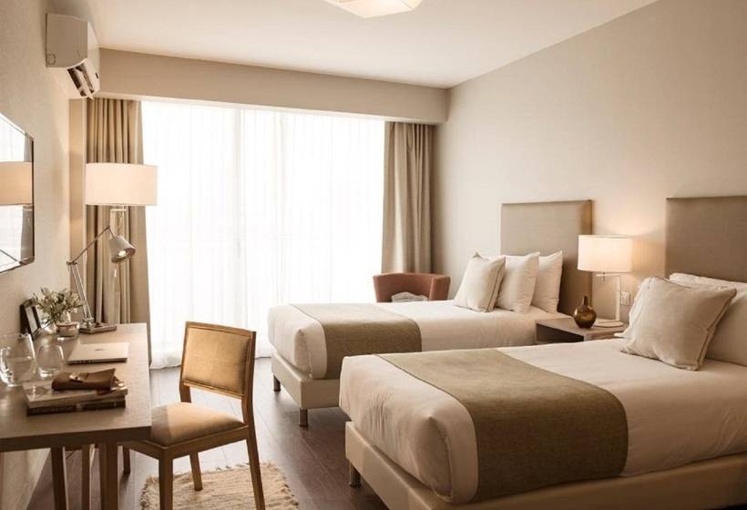 Fotos del hotel Dazzler By Wyndham Polo:  20