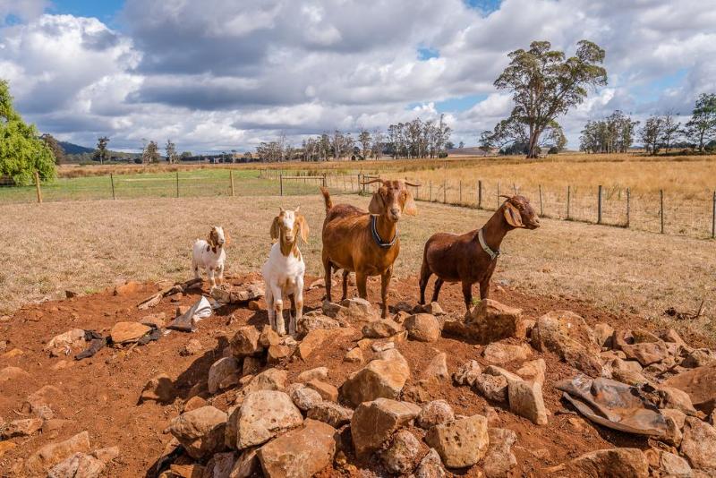 فندق Glencoe Country Bed And Breakfast