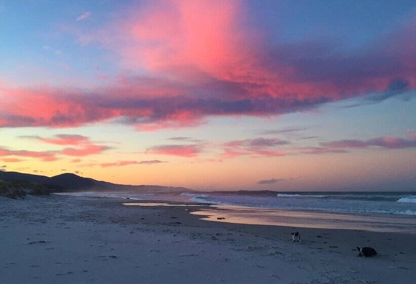 فندق Sandpiper Ocean Cottages