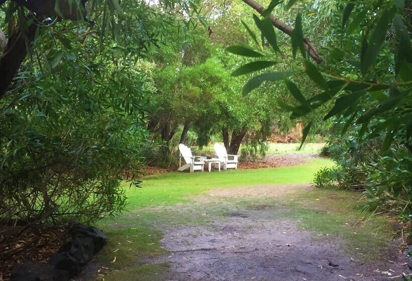 فندق Sandpiper Ocean Cottages