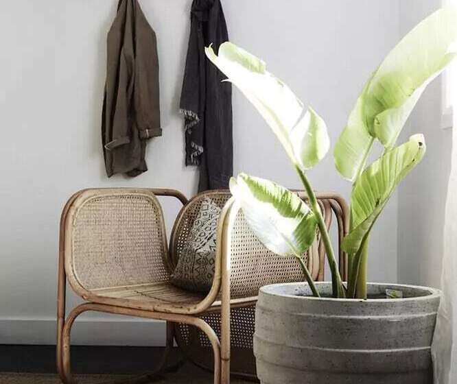 Hotel The Bower Byron Bay