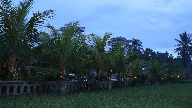 Fotos del hotel Villa Jj And Spa Ubud:  21