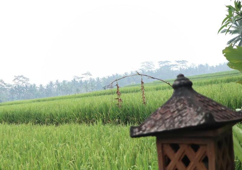 Fotos del hotel Villa Jj And Spa Ubud:  19
