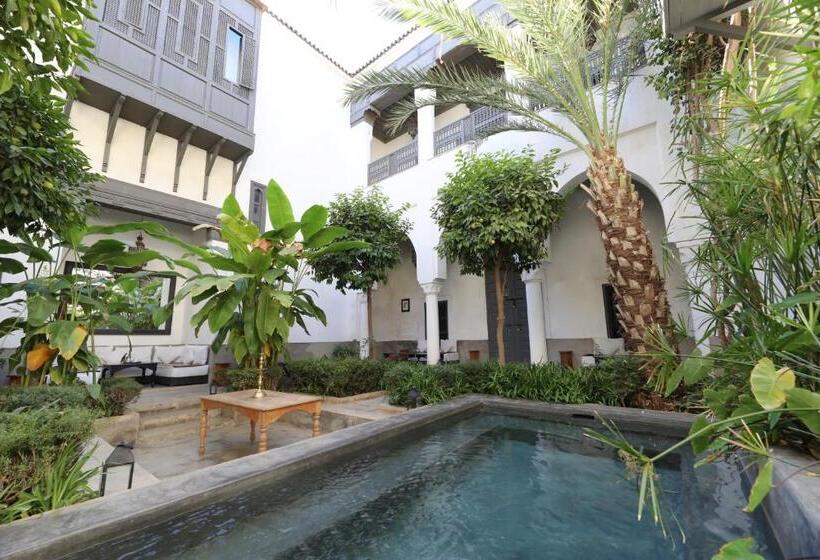 Fotos del hotel Riad Zaouia 44:  44