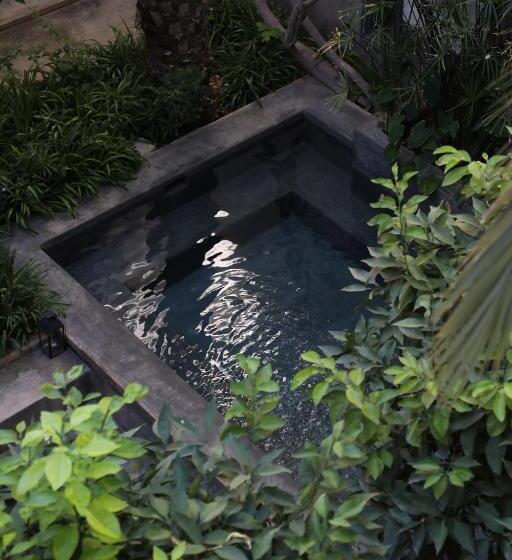 Fotos del hotel Riad Zaouia 44:  10