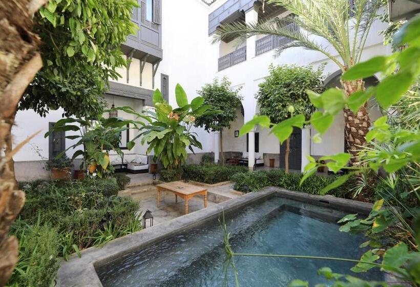 Fotos del hotel Riad Zaouia 44:  9
