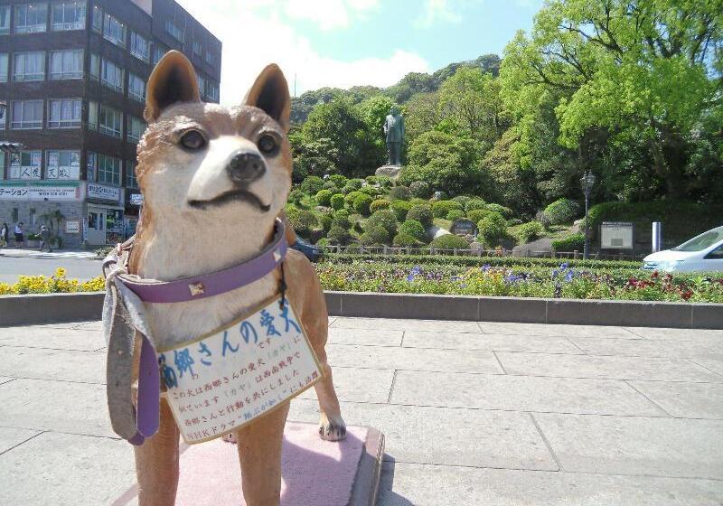 Fotos del hotel Apa  Kagoshima Tenmonkan:  13