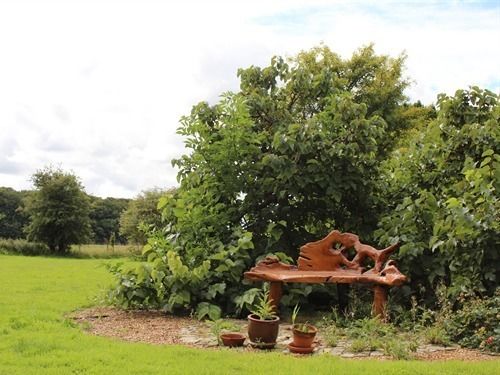 Bed and Breakfast Red Lodge Country House