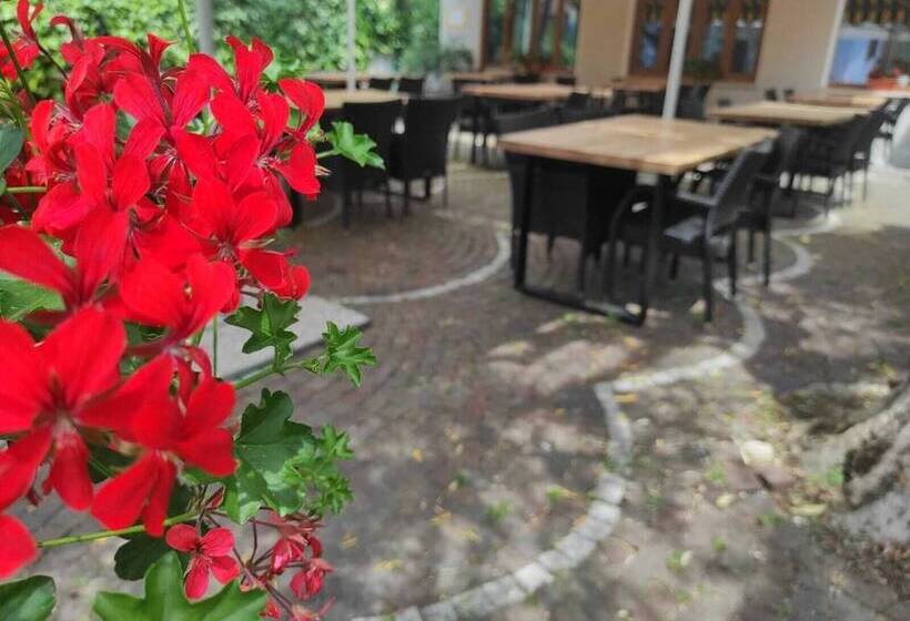 فندق Albergo Stella D Italia