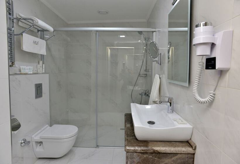 בית מלון כפרי Arus