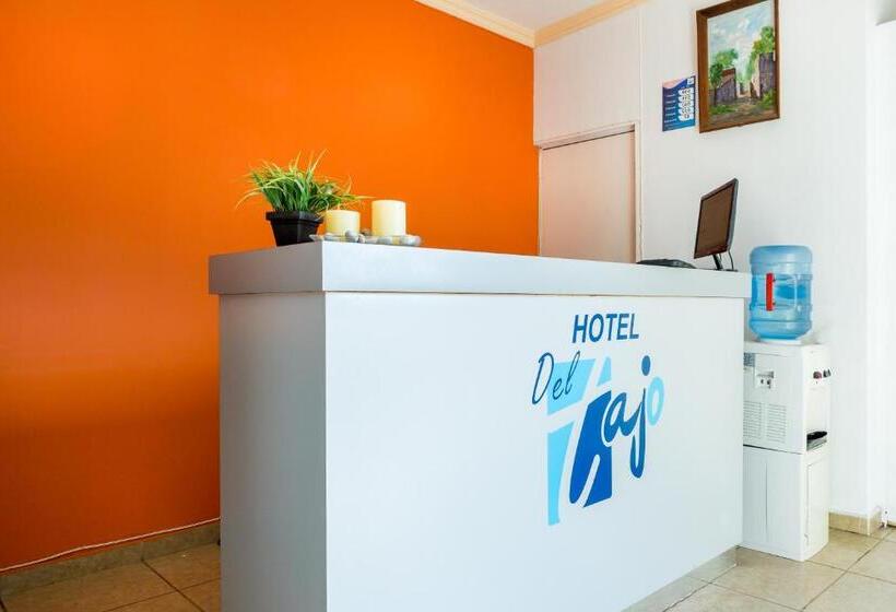 هتل Del Tajo