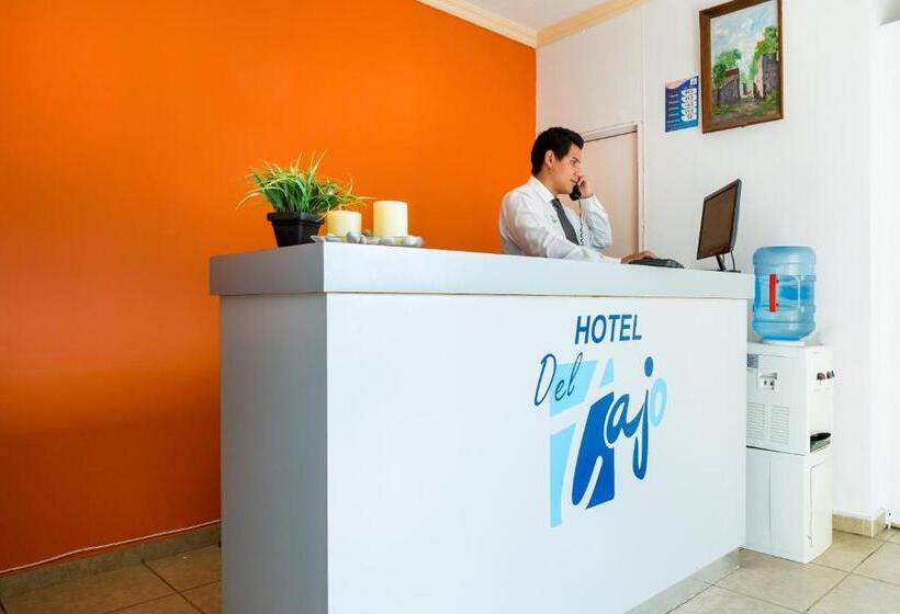 هتل Del Tajo