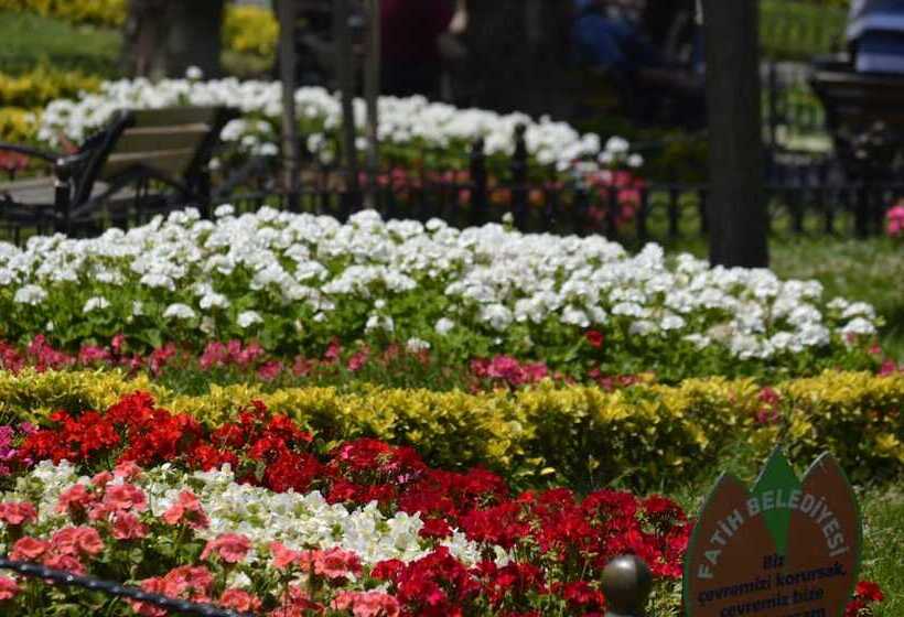 Fotos del hotel Ekol:  31