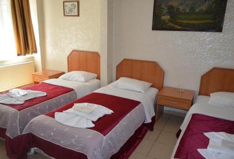 Fotos del hotel Ekol:  3