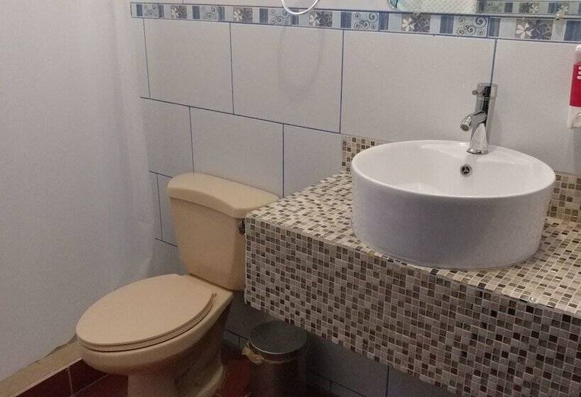 هتل El Internacional Granada