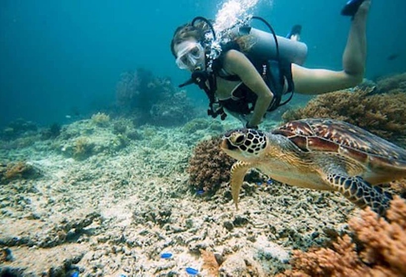 Fotos del hotel Kaleydo Villas:  6