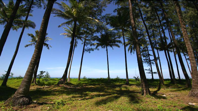 هتل Khaolak Blue Lagoon Resort  Sha Extra Plus