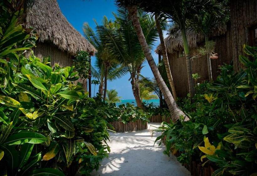 בית מלון כפרי Ramon's Village Resort