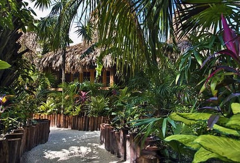 בית מלון כפרי Ramon's Village Resort