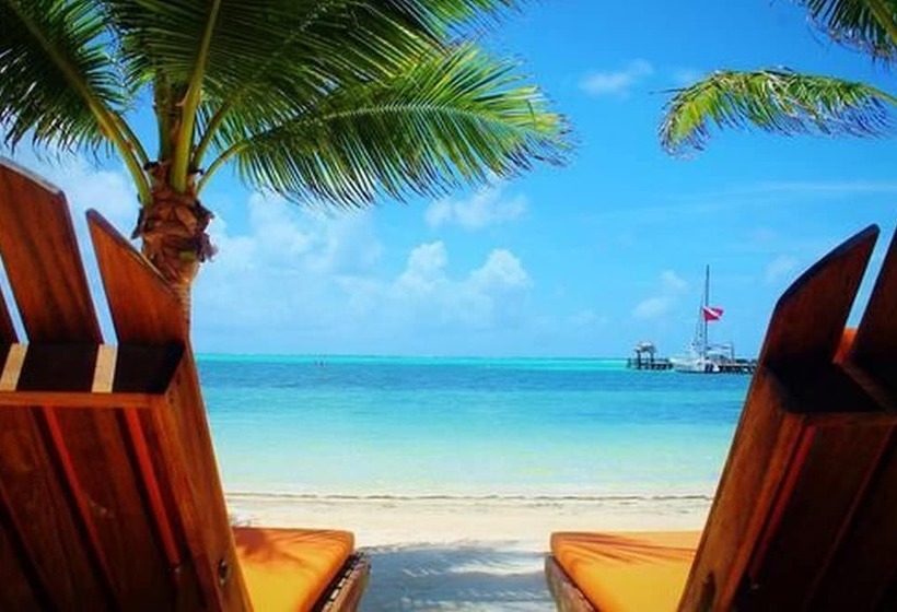 בית מלון כפרי Ramon's Village Resort