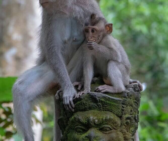 Fotos del hotel Tejaprana Resort & Spa:  16