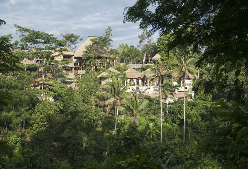 Fotos del hotel Tejaprana Resort & Spa:  9