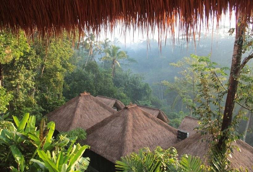 Fotos del hotel Tejaprana Resort & Spa:  6