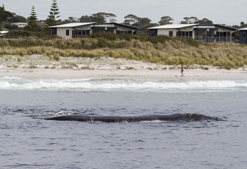 هتل Big4 Middleton Beach Holiday Park