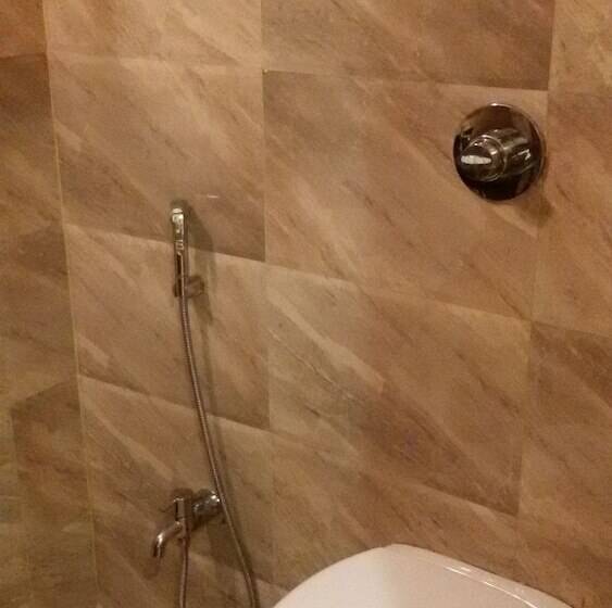 Fotos del hotel Janki International:  3