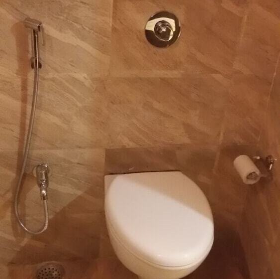 Fotos del hotel Janki International:  4