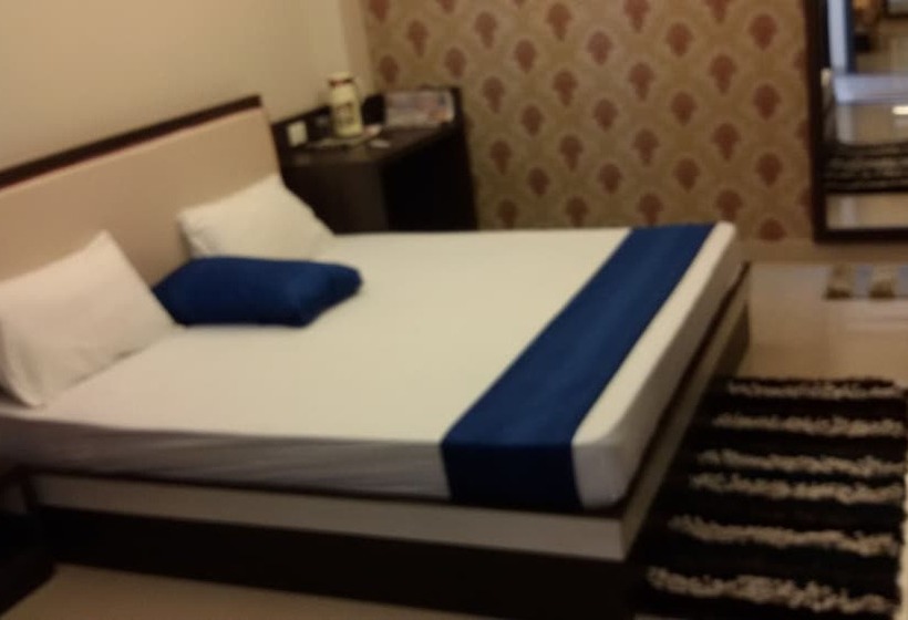 Fotos del hotel Janki International:  9