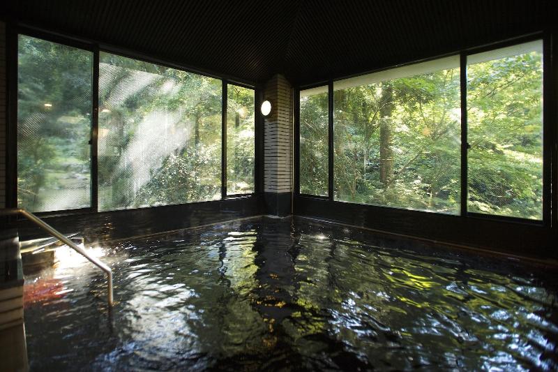 Fotos del hotel Motoyu Ishiya:  5