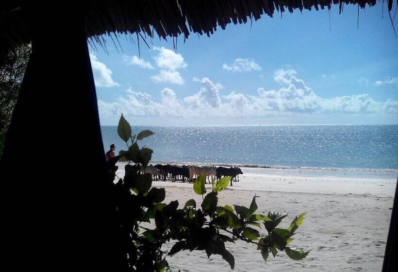 אתר נופש Villa De Coco