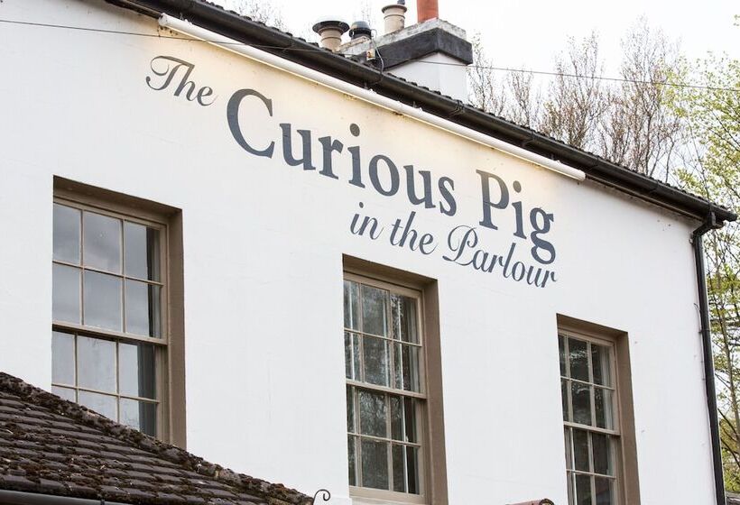 هتل The Curious Pig In The Parlour