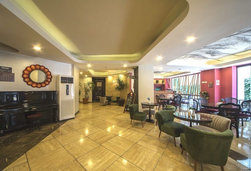 Fotos del hotel Ayna  Istanbul:  4