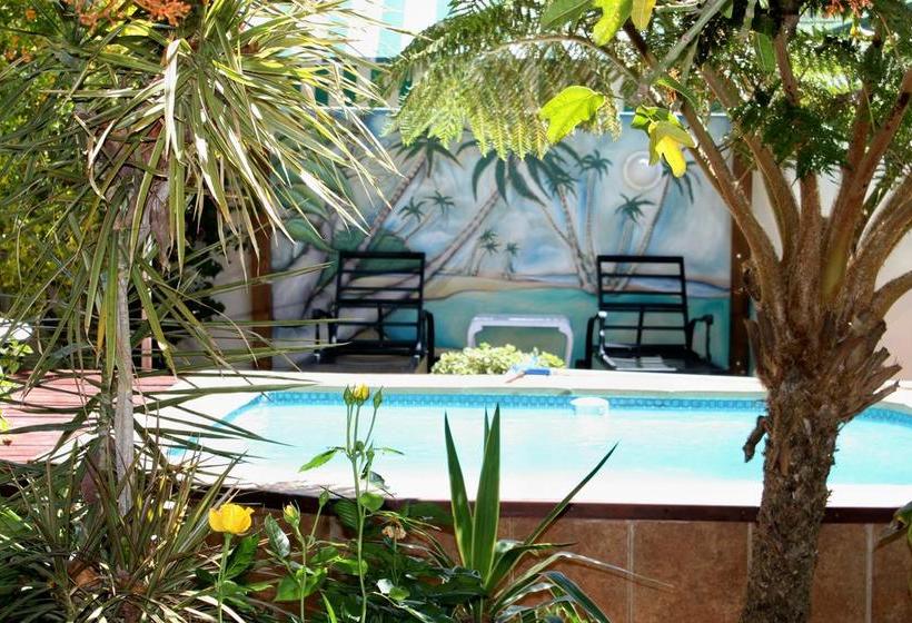 Bed and Breakfast Somerset Lodge