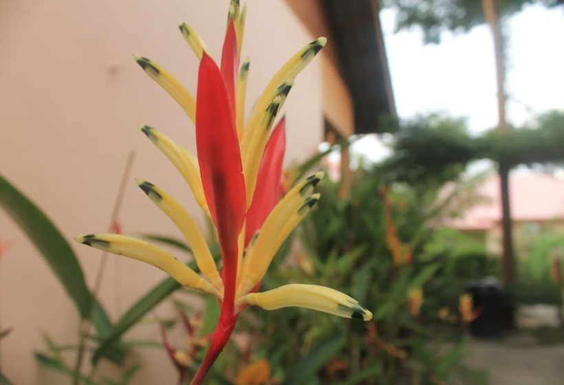 هتل Chenang Inn