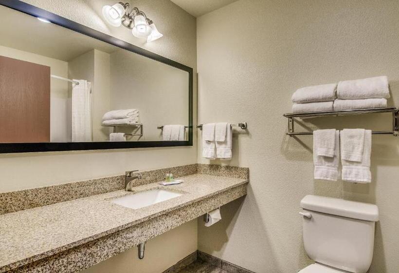 호텔 Cobblestone Inn & Suites   Big Lake