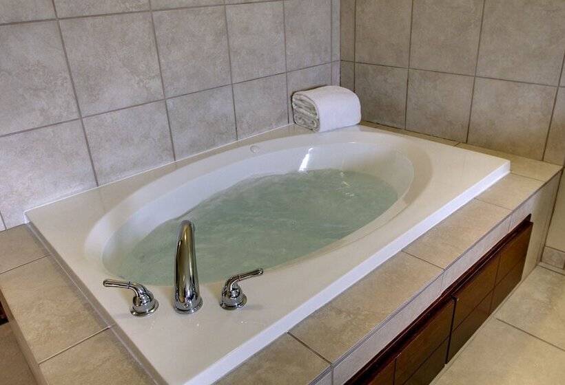 בית מלון כפרי Cobblestone Inn & Suites  Hartington