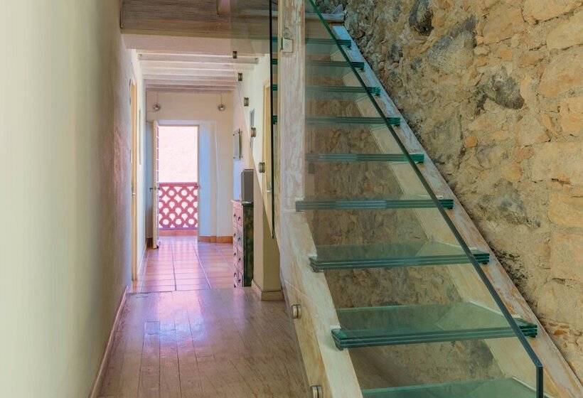 هتل Damiana Boutique