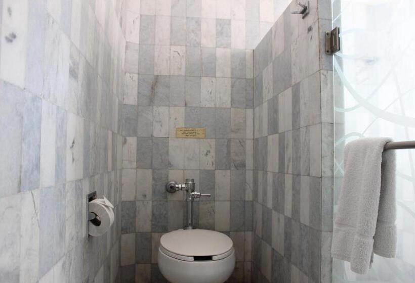 هتل Flamingo Irapuato