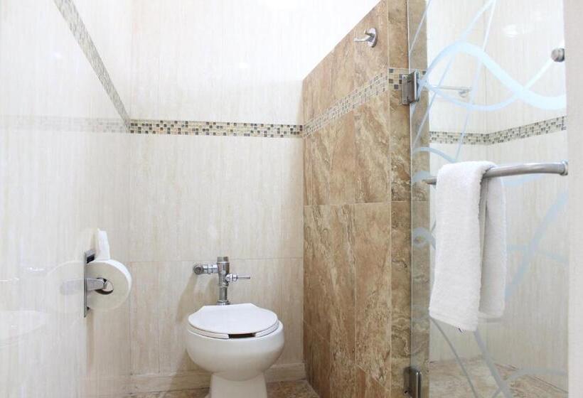 هتل Flamingo Irapuato
