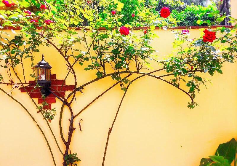 Fotos del hotel Ottoman S Pearl:  6