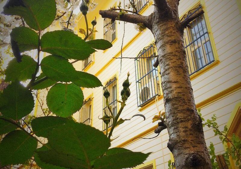 Fotos del hotel Ottoman S Pearl:  8