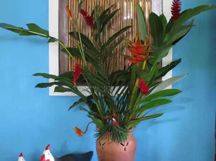 هتل Pousada Calypso