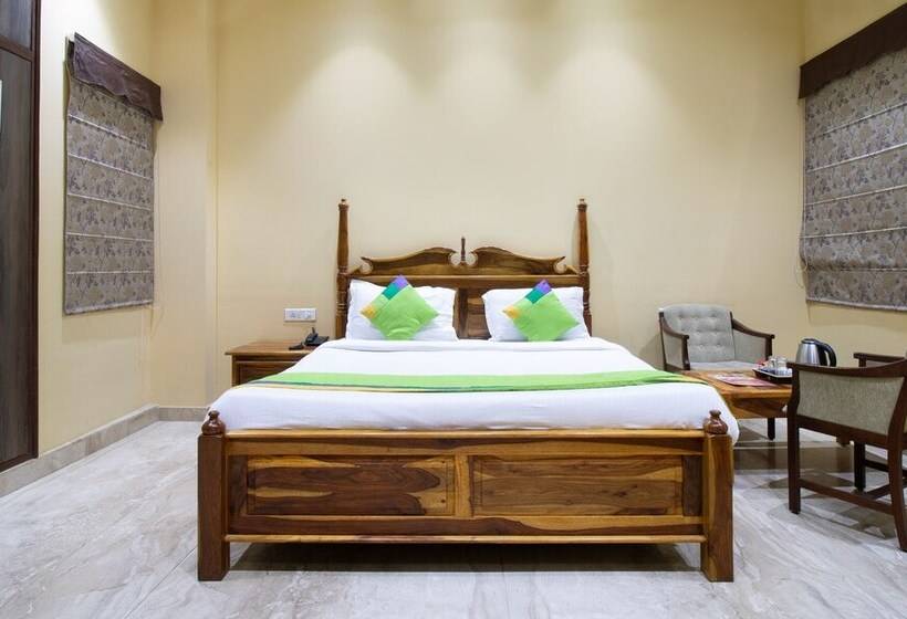 Treebo Trend The Anchorage Malviya Nagar