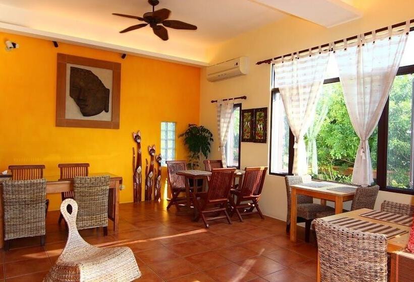 تختخواب و صبحانه Ibali Hostel